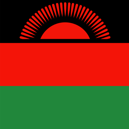 {locationName=Malawi, locationCode=MW, locationLogo=/img/flags/mw.png, operatorList=[Ljava.lang.Object;@1f0711f5}